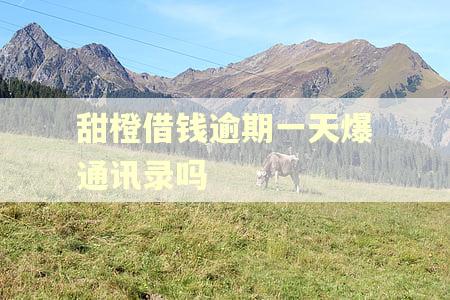 甜橙借钱逾期一天爆通讯录吗