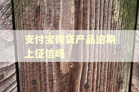 支付宝微贷产品逾期上征信吗