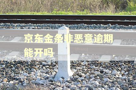 京东金条非恶意逾期能开吗