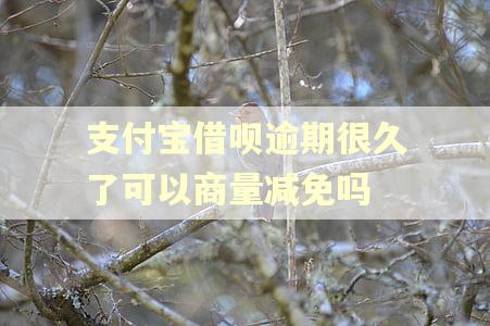 支付宝借呗逾期很久了可以商量减免吗