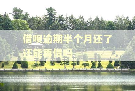 借呗逾期半个月还了还能再借吗