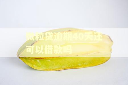 微粒贷逾期40天还可以借款吗