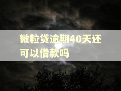 微粒贷逾期40天还可以借款吗