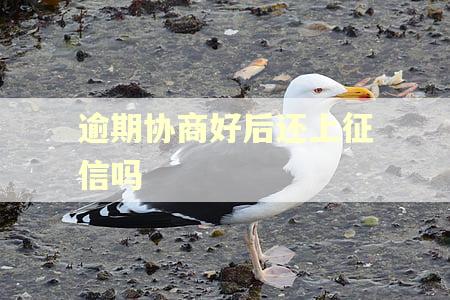逾期协商好后还上征信吗 逾期协商好后还上征信吗
