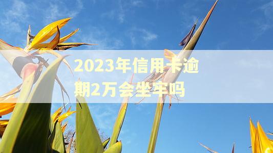 2023年信用卡逾期2万会坐牢吗
