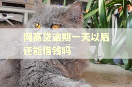 网商贷逾期一天以后还能借钱吗