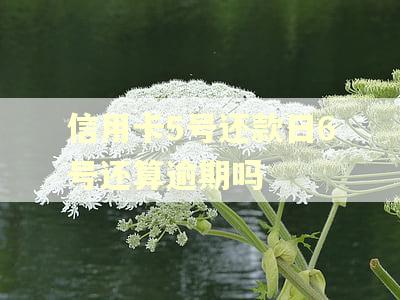 信用卡5号还款日6号还算逾期吗