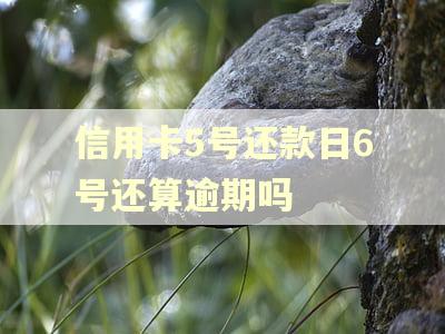 信用卡5号还款日6号还算逾期吗