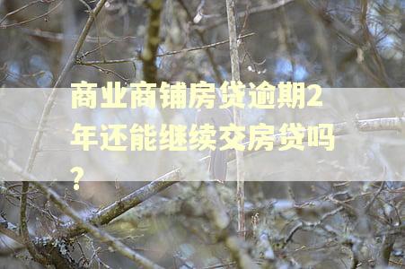 商业商铺房贷逾期2年还能继续交房贷吗?