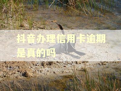 抖音办理信用卡逾期是真的吗