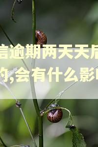 捷信逾期两天天后还上的,会有什么影响吗