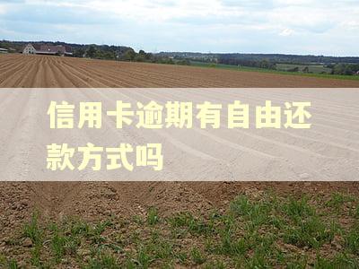 信用卡逾期有自由还款方式吗