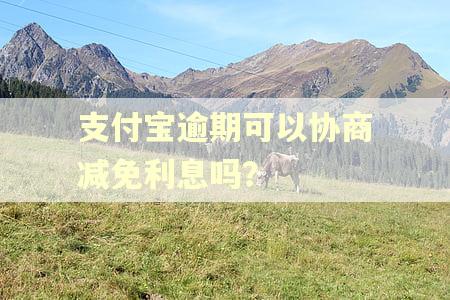 支付宝逾期可以协商减免利息吗？