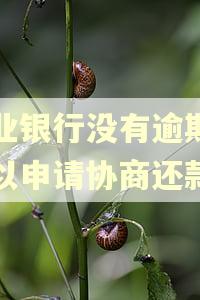 兴业银行没有逾期,可以申请协商还款吗