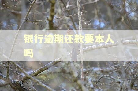 银行逾期还款要本人吗