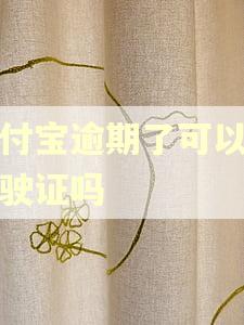 支付宝逾期了可以考驾驶证吗
