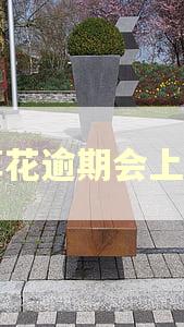 宜享花逾期会上门吗