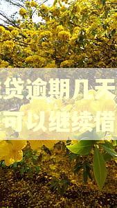 微粒贷逾期几天后结清还可以继续借吗