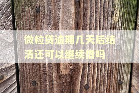 微粒贷逾期几天后结清还可以继续借吗