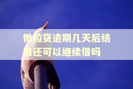 微粒贷逾期几天后结清还可以继续借吗