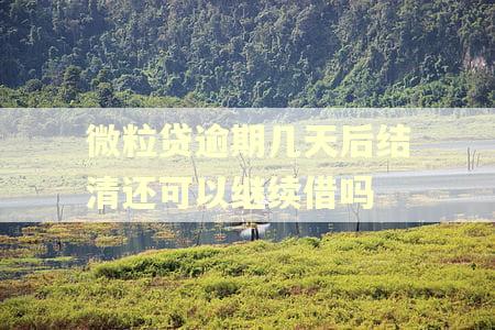 微粒贷逾期几天后结清还可以继续借吗 微粒贷逾期几天后结清还可以继续借吗