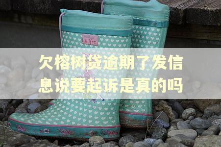 欠榕树贷逾期了发信息说要起诉是真的吗