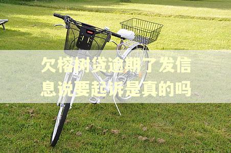 欠榕树贷逾期了发信息说要起诉是真的吗