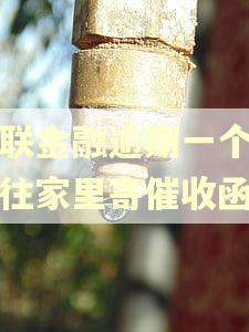招联金融逾期一个月会往家里寄催收函吗