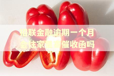 招联金融逾期一个月会往家里寄催收函吗