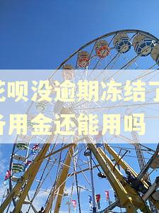 花呗没逾期冻结了,备用金还能用吗 花呗没逾期冻结了,备用金还能用吗