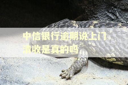 中信银行逾期说上门清收是真的吗 中信银行逾期说上门清收是真的吗