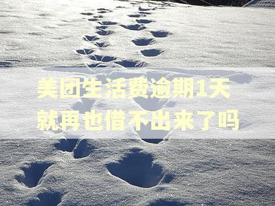 美团生活费逾期1天就再也借不出来了吗