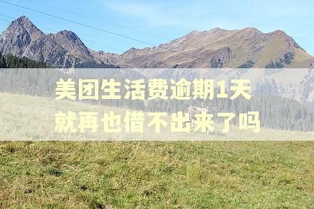 美团生活费逾期1天就再也借不出来了吗