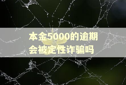 本金5000的逾期会被定性诈骗吗