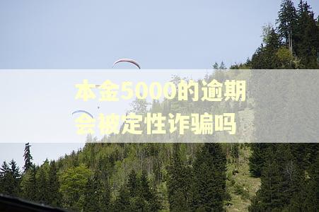 本金5000的逾期会被定性诈骗吗