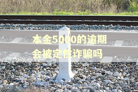 本金5000的逾期会被定性诈骗吗