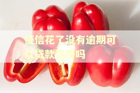 征信花了没有逾期可以贷款买房吗