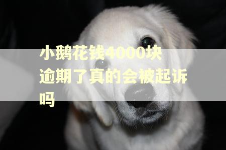 小鹅花钱4000块逾期了真的会被起诉吗