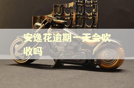 安逸花逾期一天会吹收吗