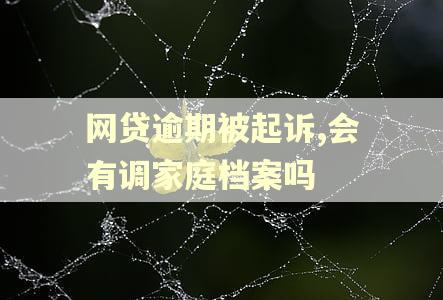 网贷逾期被起诉,会有调家庭档案吗