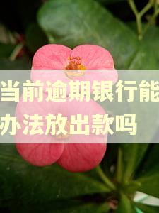 有当前逾期银行能给想办法放出款吗
