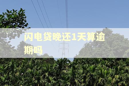 闪电贷晚还1天算逾期吗 闪电贷晚还1天算逾期吗