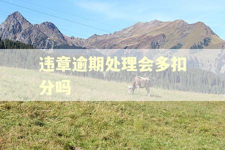 违章逾期处理会多扣分吗