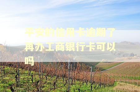 平安的信用卡逾期了再办工商银行卡可以吗