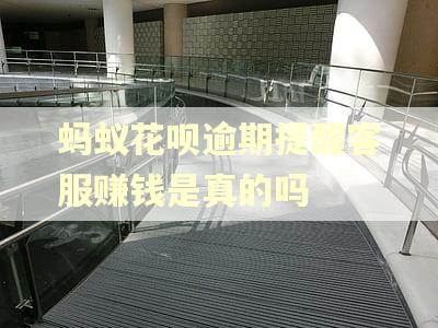 蚂蚁花呗逾期提醒客服赚钱是真的吗