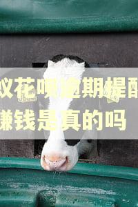 蚂蚁花呗逾期提醒客服赚钱是真的吗
