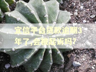 宜信平台贷款逾期3年了,会被起诉吗?