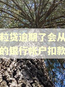 微粒贷逾期了会从另外的银行帐户扣款吗