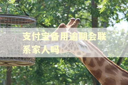 支付宝备用逾期会联系家人吗