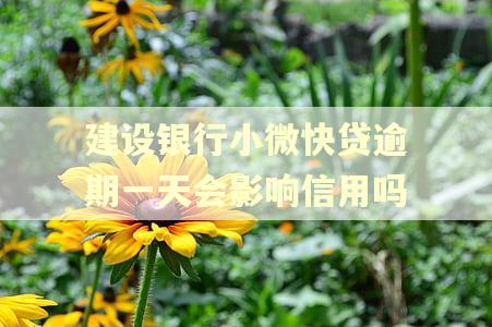 建设银行小微快贷逾期一天会影响信用吗